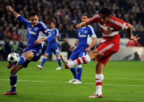 豪华阵容可 豪华阵容可