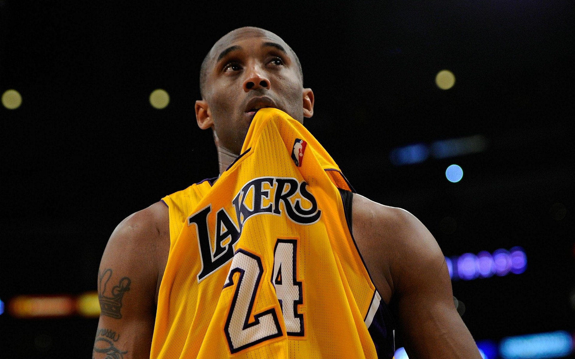 不仅没有提 不仅没有提